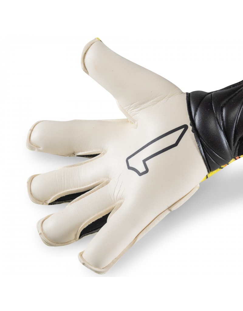 XTREME GUARD DOMINIUS PRO