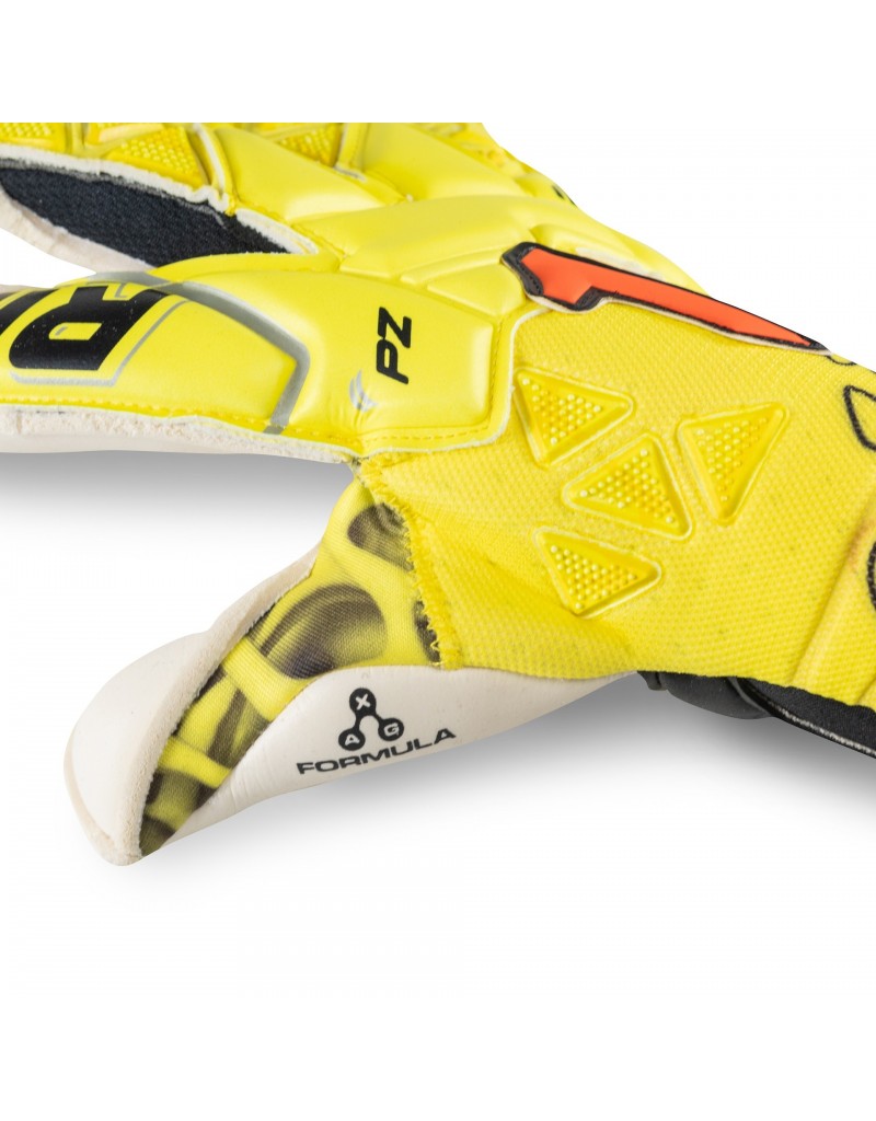 XTREME GUARD DOMINIUS PRO