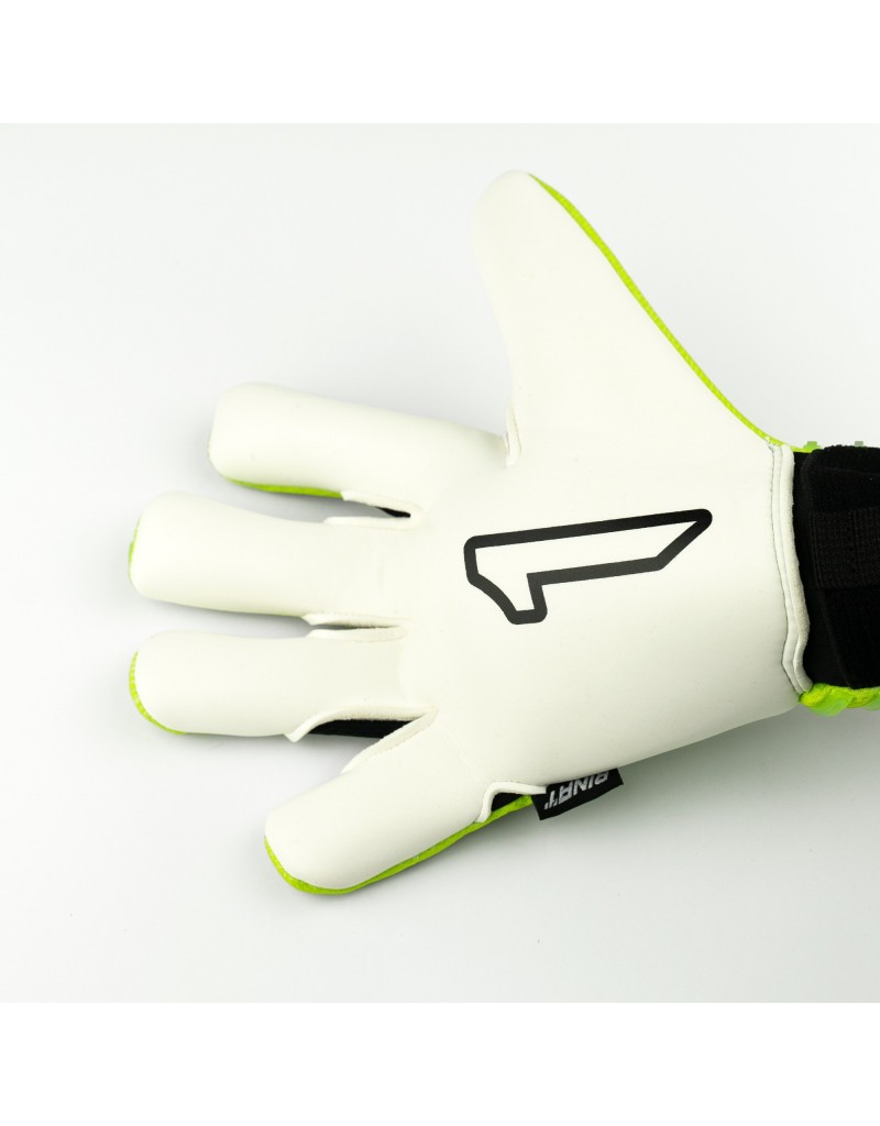 ARIES NÉMESIS PRIME [Inf]