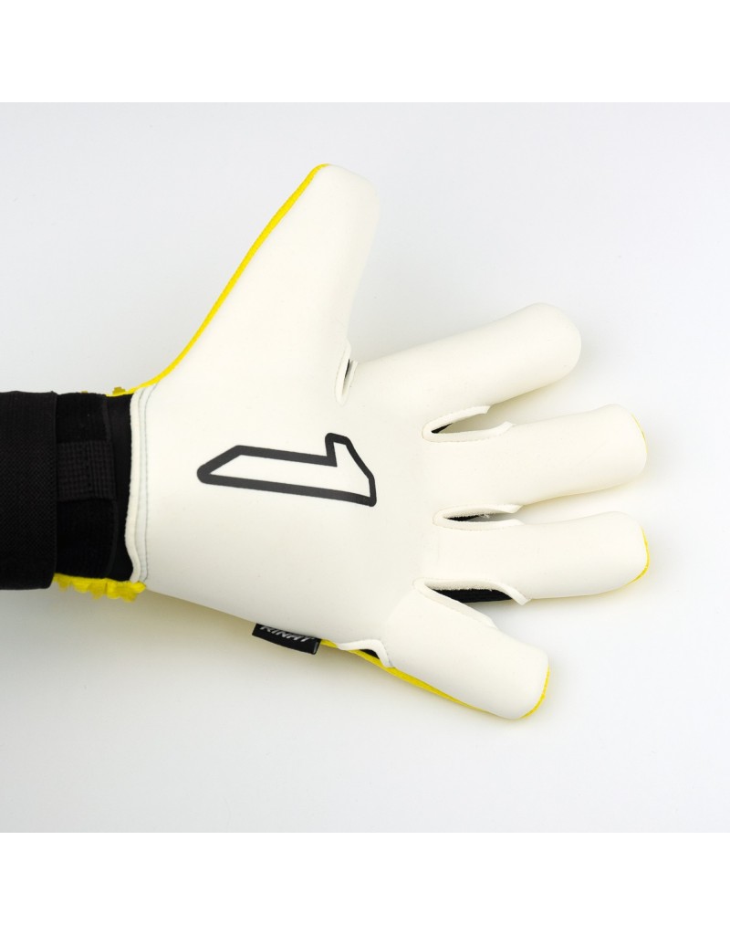 ARIES NÉMESIS PRIME [Inf]