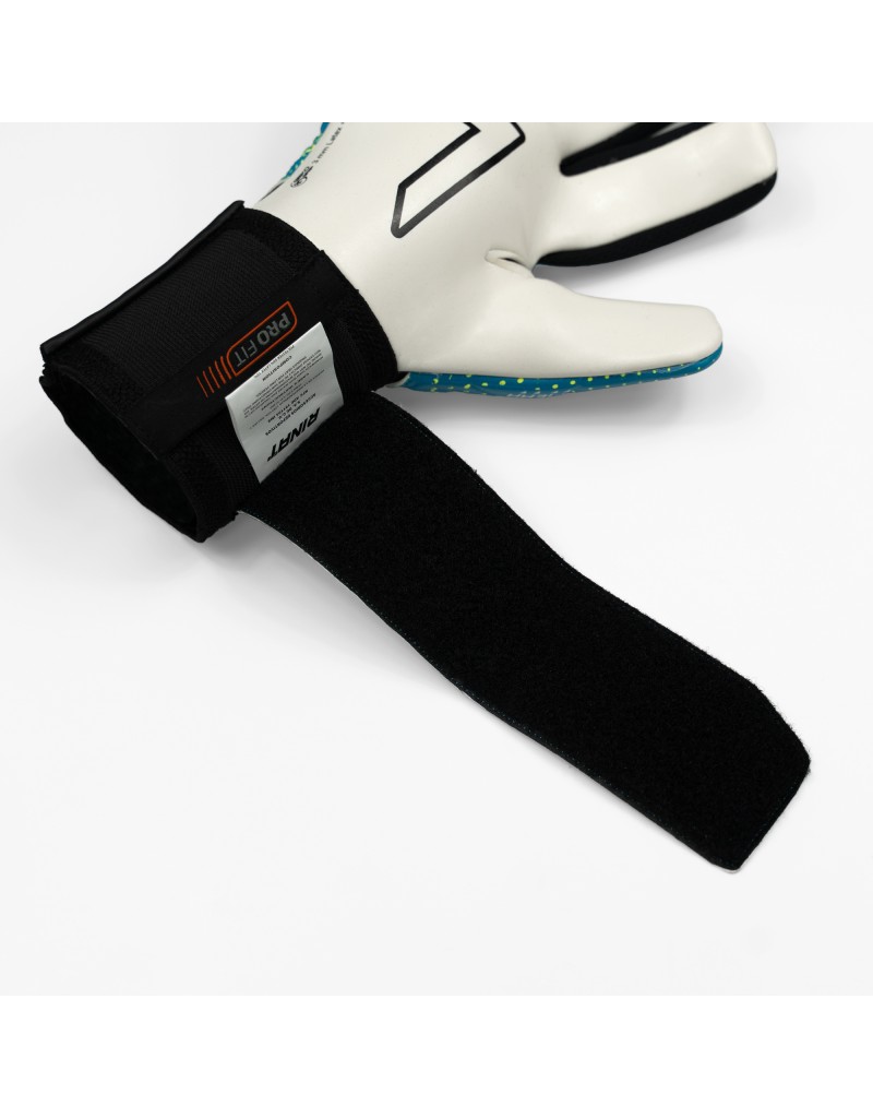 FIERA TRAINING [Inf]