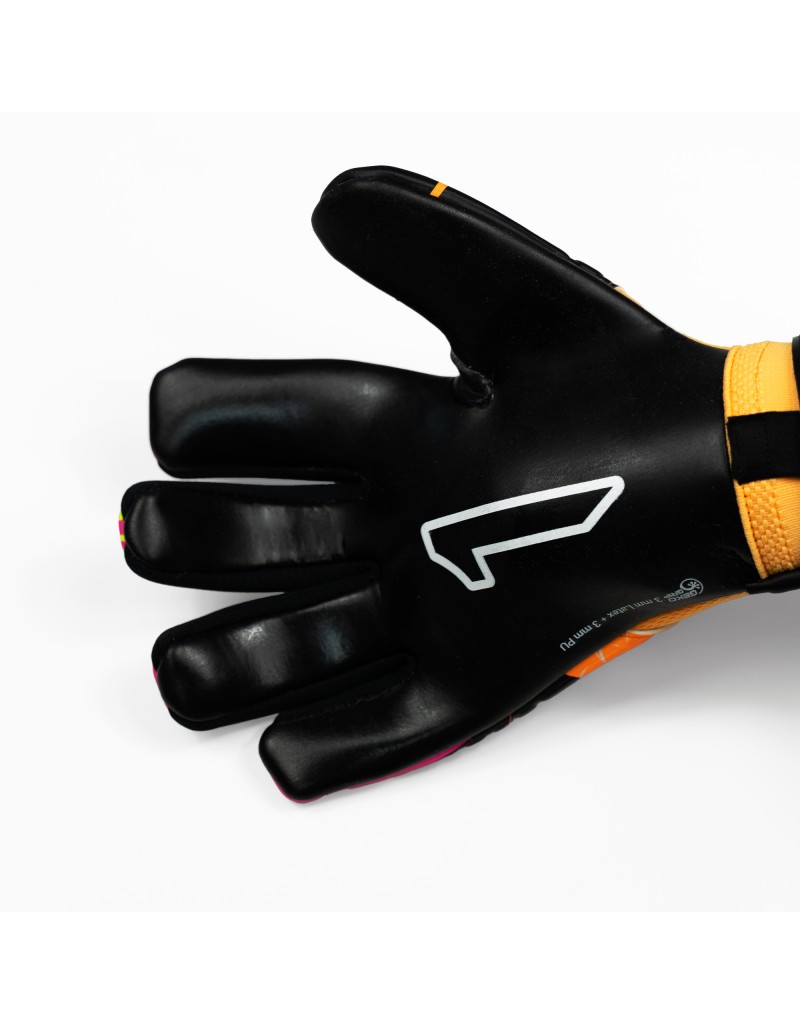 EGOTIKO X TRAINING [Inf]