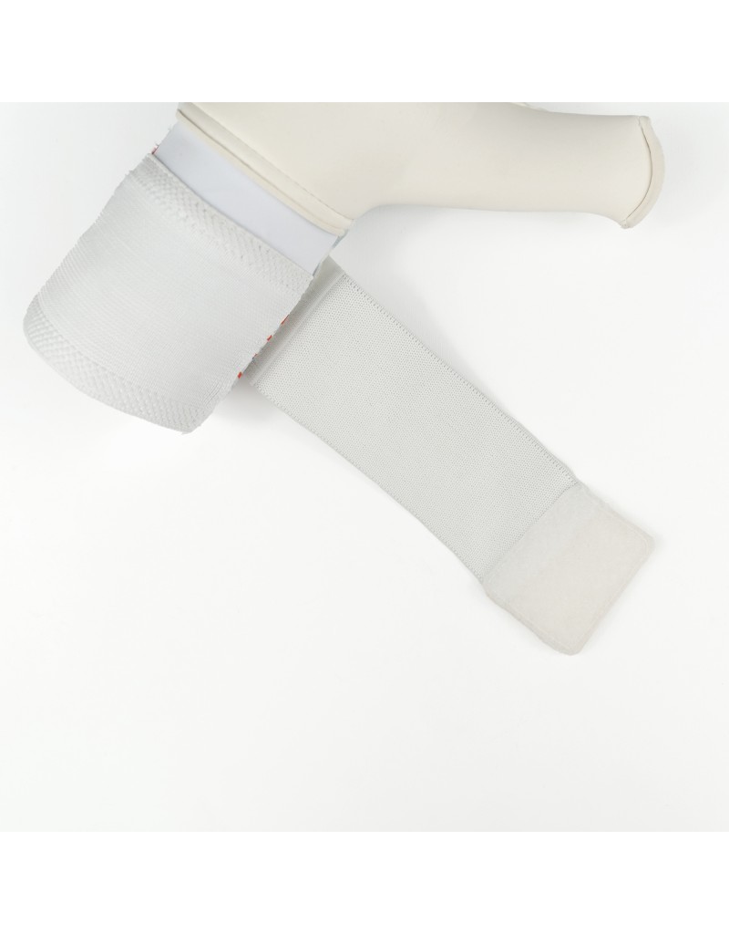 GUARDIA ESTREMA DOMINUS PREMIUM