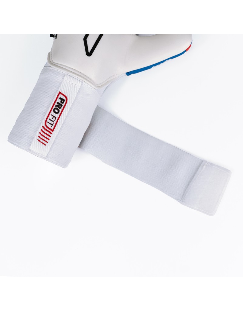 XTREME GUARD DOMINIUS TURF [Inf]