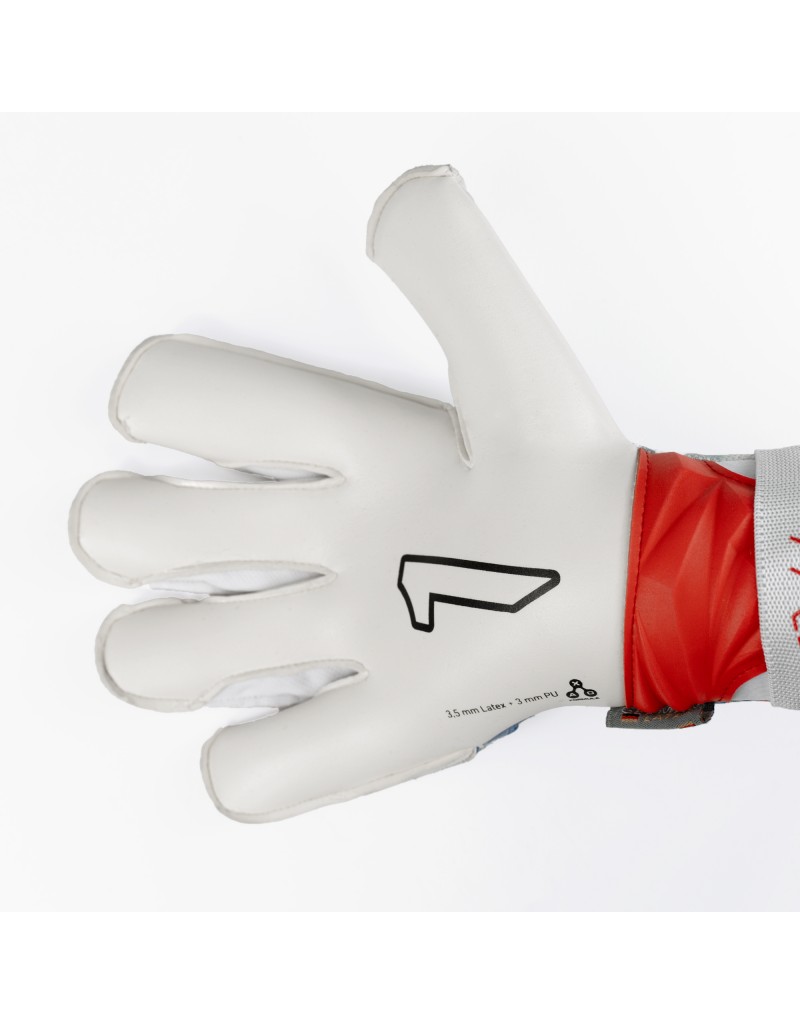 XTREME GUARD DOMINIUS PRO